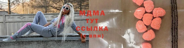 индика Алексин
