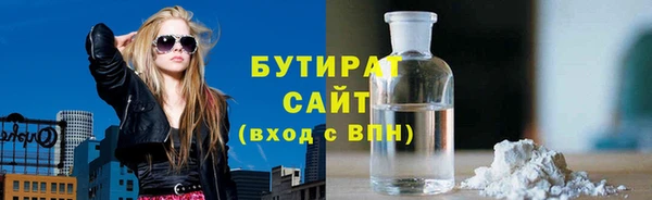индика Алексин