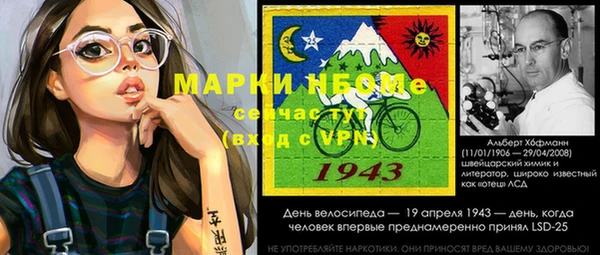 индика Алексин