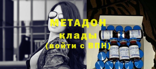 индика Алексин