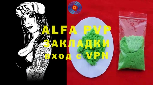 индика Алексин